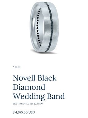 Black Diamond Wedding Band in Silver and Black